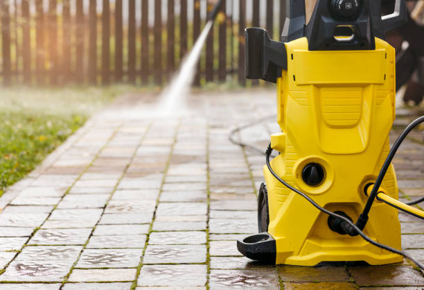 Animal Enclosure Cleaning in Plain City, UT